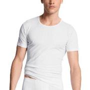 Calida Pure and Style T-shirt Hvit bomull Small Herre