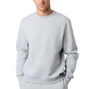 Björn Borg Centre Crew Lysgrå Large Herre