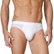 Calida Evolution Brief 21660 Hvit 001 bomull Large Herre