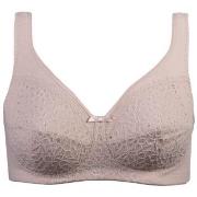 Damella BH Classic Soft Lace Bra Pudder D 80 Dame