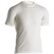 Dovre Wool T-shirt Hvit merinoull X-Large Herre