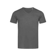 Stedman Ben V-neck For Men Mørkgrå  ringspunnet bomull X-Large Herre