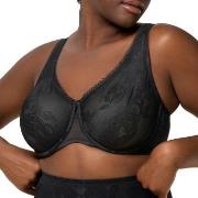 Triumph BH Wild Rose Sensation W01 Svart F 80 Dame