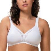 Triumph BH Modern Lace Cotton Soft Bra Hvit E 85 Dame