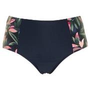 Missya Milano Bikini Maxi Brief Blå/Rosa 40 Dame