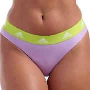 adidas Truser 3P Sport Cotton Logo Thong Lilla/Svart bomull Small Dame