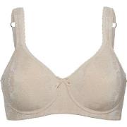 Swegmark BH Adamo Padded Soft Wired Bra Beige B 80 Dame