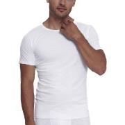 Sloggi 2P Men ABC O Neck T Shirt Hvit bomull Large Herre