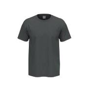 Stedman 4P Comfort Men T-shirt Grå bomull 4XL Herre
