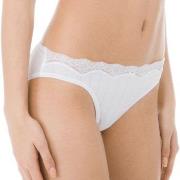 Calida Truser Etude Toujours Low Cut Brief Hvit bomull XX-Small Dame