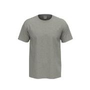 Stedman 4P Comfort Men T-shirt Lysgrå bomull 5XL Herre