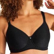 Swegmark BH Adamo Shape Padded Cup Wire Bra Svart polyamid C 80 Dame