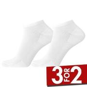 Egtved Strømper 2P Cotton Footie Sock Hvit Str 36/41