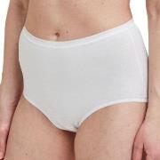 Decoy Truser 5P Maxi Briefs Hvit økologisk bomull X-Large Dame