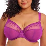 Elomi BH Matilda Underwired Plunge Bra Fuchsia/Lilla I 95 Dame
