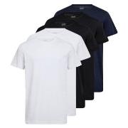 Claudio 5P Cotton T-Shirt Mixed bomull X-Large Herre