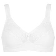Damella BH Felice Soft Bra Hvit bomull E 80 Dame