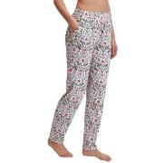 Calida Favourites Lavender Lyslilla bomull Medium Dame