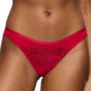 Triumph Truser Palina Moonlight Kiss Brazilian Brief Rød polyamid 46 D...