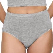Triumph Truser Beauty Layers Wool Maxi Brief Grå ull Small Dame