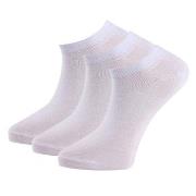 Trofe Cotton Sneaker Socks Strømper 6P Hvit Str 35/38 Dame