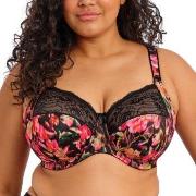 Elomi BH Morgan Banded Bra Blomstret L 90 Dame