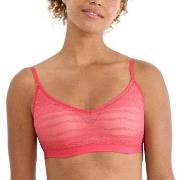 Sloggi BH FREE Evolve Lace Push-Up Bra Rosa Sloggi 01 Dame