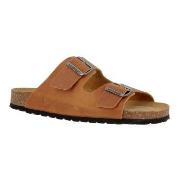 Axelda Andrea Kamel Str 37