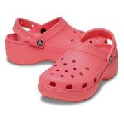 Crocs Classic Platform Clog Bringebærrød US W11 (EU 42-43) Dame