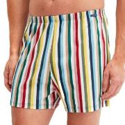 Calida Prints Cotton Boxer Shorts Mixed bomull Medium Herre