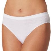 Schiesser Truser Pure Rib Organic Cotton Rio Briefs Hvit 44 Dame