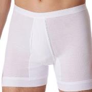Schiesser Fine Rib Underpants 3XL-6XL Hvit bomull 5XL Herre