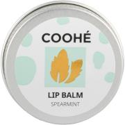 Lip Balm,  Coohé Leppepomade