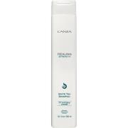 L'ANZA Healing Strength White Tea Shampoo - 300 ml