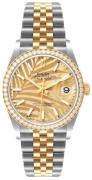 Rolex Dameklokke 126283RBR-0023 Datejust 36 Gulltonet/18 karat gult