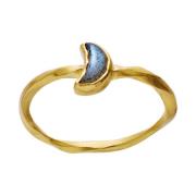 Moon Hunter Labradoritt Ring