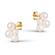 Elegante Gull Perle Studs