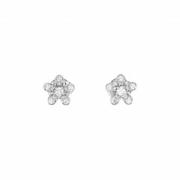 Pre-owned White Gold earrings