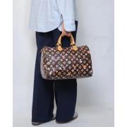 Pre-owned Fabric louis-vuitton-bags