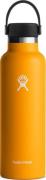 Hydro Flask Standard Mouth Flex 621 ml Starfish