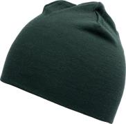 Devold Lauparen Merino 190 Beanie Woods