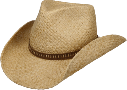 Stetson Fair Oaks Western Straw Hat Natur