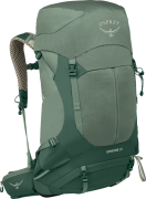 Osprey Men's Stratos 36 Pine Leaf Green