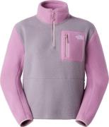 The North Face Women's Yumiori 1/4 Zip Transcendent Grey/hushe
