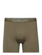 M Anatomica Boxers Boksershorts Green Icebreaker