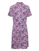 Chichi Dress Maxikjole Festkjole Pink Fabienne Chapot