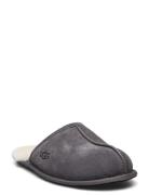 M Scuff Slippers Tøfler Grey UGG