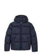 Puffer Jacket Fôret Jakke Navy Tom Tailor