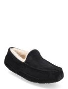 M Ascot Slippers Tøfler Black UGG