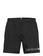 Dolphin Badeshorts Black BOSS